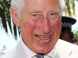 Supporting image for story