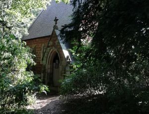 Supporting image for story