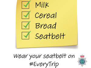 Supporting image for story: Belt up: Police crack down on driving without seatbelts after hundreds caught