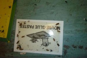 The supermarket has been forced to close. Photo: Walsall Council