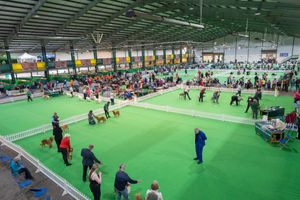 Birmingham National Dog Show 2025. Photo: Ian Knight/Z70 Photography