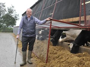 Supporting image for story: Farm invests £30,000 in 'cages' for grain after coming under siege from starlings