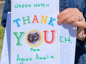 Supporting image for story: 'Thank meow very much' says grateful cat owner to Shrewsbury firefighter rescuers