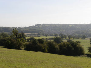 Supporting image for story: Housing developer says green belt release is inevitable