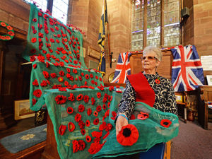 Supporting image for story: Knitted poppy cascade returns to mark Remembrance
