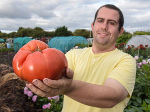 Supporting image for story: Talking to them is the trick: Wednesbury gardener Chris is a monster veg expert
