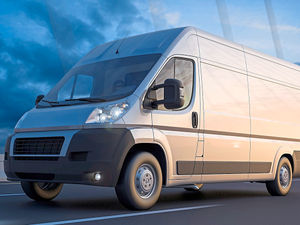 Supporting image for story: Peter Rhodes: A bear in the studio