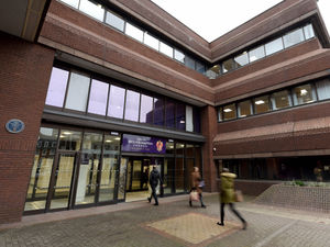 Supporting image for story: Affordable home plan given backing by Wolverhampton chiefs