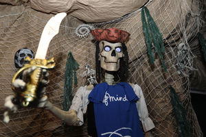 The Halloween display has been organised in the hopes of raising money for Mind