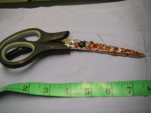 RSPCA handout photo of a pair of scissors. Picture: RSPCA/PA Wire