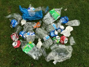 Supporting image for story: Letter: Litter pickers valued by those still with respect
