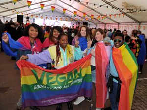 Supporting image for story: Wolverhampton Pride postponed as headliner Nadine Coyle pulls out