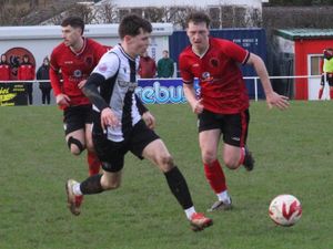 Supporting image for story: Roosters put up a fight but can't halt the Seasiders