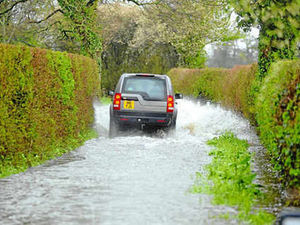 Supporting image for story: Wind and rain wreaks havoc across the region
