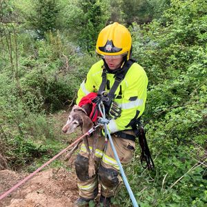 Rosie is winched to safety by a firefighter. Picture: Shropshire Fire and Rescue Service