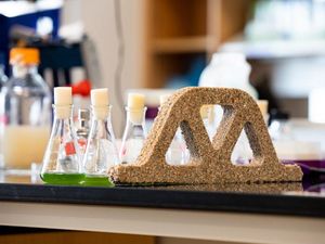 Supporting image for story: Scientists create ‘living concrete’ using sand, gel and bacteria