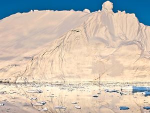 Supporting image for story: Peter Rhodes on a boy called Archer, rethinking your appendix and the risks of tinkering with the climate