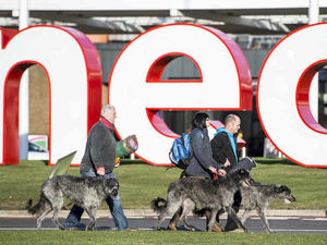 Supporting image for story: Birmingham NEC wins top award