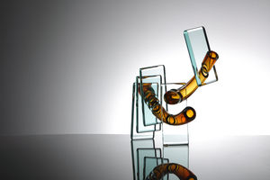 Karlin Rushbrooke - Dragon Fly