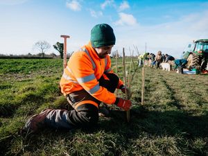 Supporting image for story: Telford residents urged to ‘plant a tree for the Jubilee’ during National Tree Week