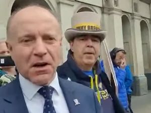 Supporting image for story: 'Why don't you go and get a proper job?' – Tory MP challenges anti-Brexit protester 