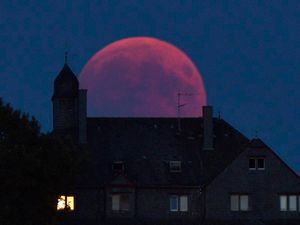Supporting image for story: In Pictures: Blood moon casts spell over skygazers across world but not in UK