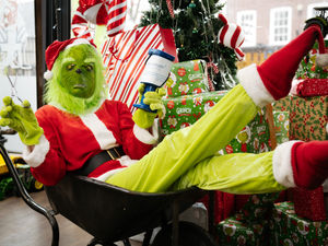 Supporting image for story: Market Drayton's Grinch explains reason for dressing up as grumpy character - and costume issue