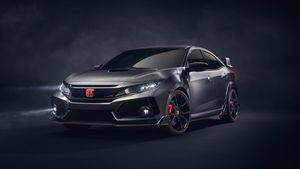 Supporting image for story