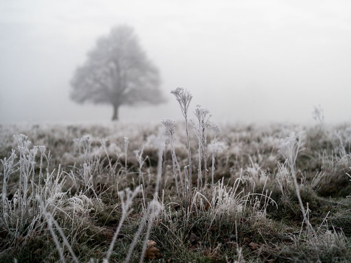 Cold weather warning in force with snow and ice ahead