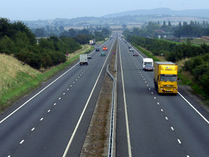 Supporting image for story: Pie in the sky or the road to success? 