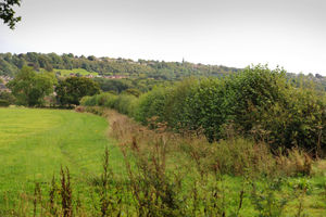 WOLVERHAMPTON PIC MNA PIC DAVID HAMILTON PIC  EXPRESS AND STAR 26/9/2019 Land that may be  developed, part of the Seven Cornfields, Penn..