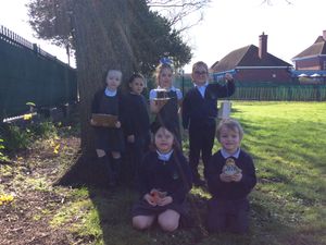 Supporting image for story: Local pupils help protect Walsall’s songbirds through Ruby Robin Award