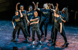 Zoonation Young Company