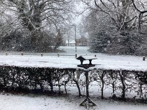 Snow in Horsehay. Photo: Margaret Herraty