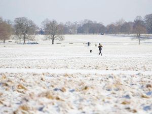 Supporting image for story