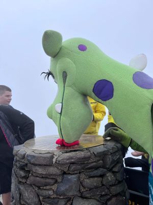 Dana Power as 'Puff the Dragon' along with the rest of the fancy dress climbers on Sunday 
