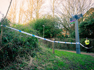 Supporting image for story: Attempted murder arrests as 16-year-old boy stabbed in Telford Town Park