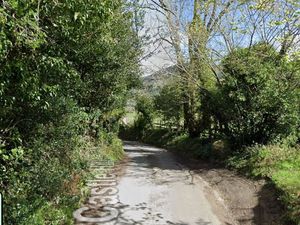 Supporting image for story: Pensioner, 79, killed neighbour's dog and left her with broken pelvis after hitting them with car in Church Stretton