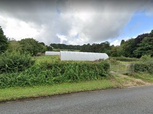 Supporting image for story: Canine creche set to open in Walsall