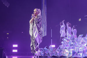 Paloma Faith at the Genting Arena in Birmingham. Pic: Chris Bowley