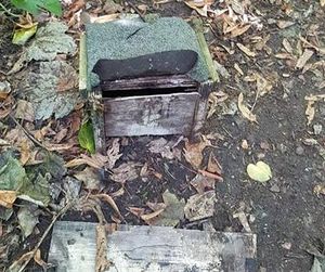 Damaged bat boxes found near river side woodland, Bridgnorth
