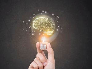 Supporting image for story: Turns out the human brain isn’t as unique as we’d like to think