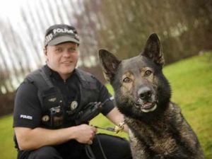 Supporting image for story: Police dog Pride to retire after glittering career with West Midlands force
