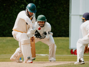 Supporting image for story: Cricket plans in place for club game