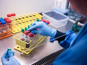 Supporting image for story: British vaccine raises hopes of an end to Covid-19 pandemic