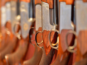 Supporting image for story: More than 140 children hold gun licences in West Mercia region