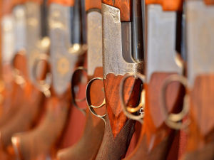 Supporting image for story: More than 140 children hold gun licences in West Mercia region