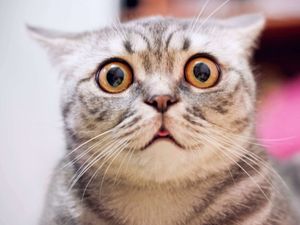 Supporting image for story: Andy Richardson: Accepting the harsh reality that the camera never lies ... 