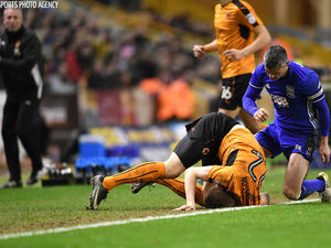 Supporting image for story: Wolves 1 Blues 2 - Report and pictures