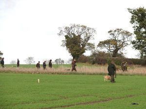 Supporting image for story: Shooting ban proves government is biased 